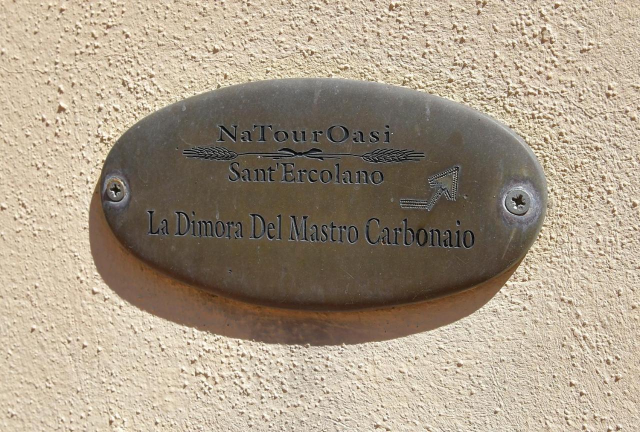 Gasthaus Natouroasi Agriturismo Monte San Savino Exterior foto